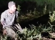 Caballeros Templarios interrogam e executam suposto membro dos Los Blancos de Troya em Michoacán