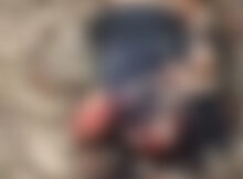 Membros de cartel gravam vídeo esquartejando homem em Tabasco