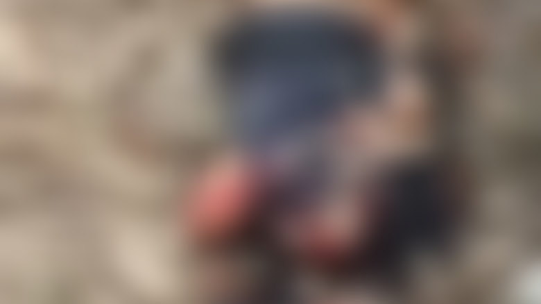 Membros de cartel gravam vídeo esquartejando homem em Tabasco Picsart_24-05-08_02-01-52-100-1