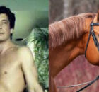 O Caso Enumclaw: A História Trágica e Chocante de “2 Guys 1 Horse”