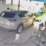 Bebê de 15 meses morre atropelada por SUV em manobra de ré no Vietnã YRxQ5O82ITPB_640x360