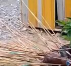 Duas pessoas são mortas a flechadas em conflito entre clãs na Indonésia