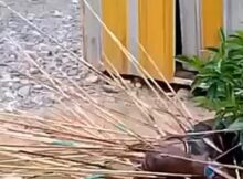 Duas pessoas são mortas a flechadas em conflito entre clãs na Indonésia